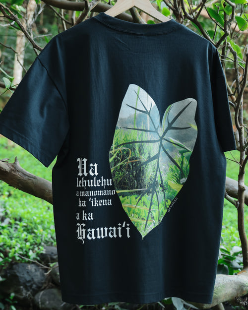 KULTIVATE T