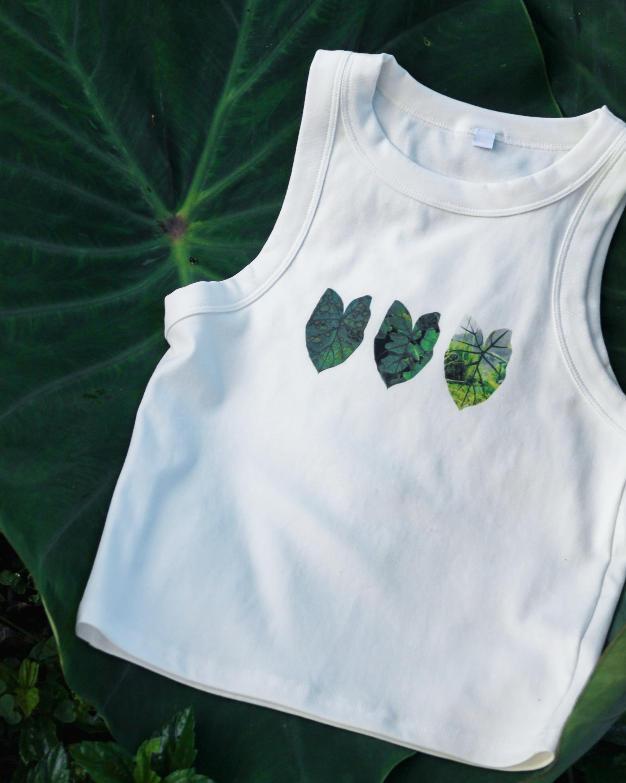 Kalo tank