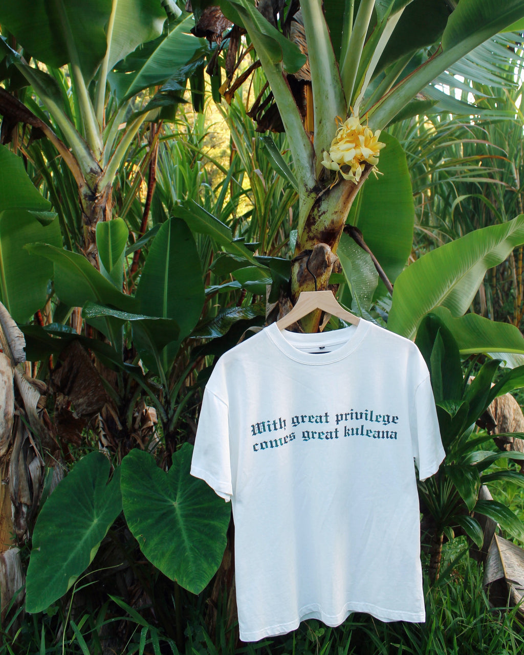 Privilege Pālule